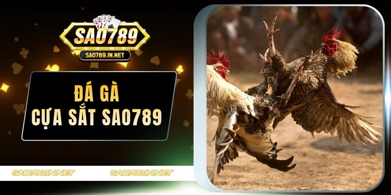 Đá gà cựa sắt